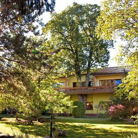 Apartmán Appartementhaus Witzmann